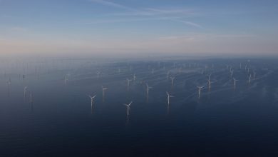 تصویر از بزرگترین قرارداد 10 ساله برق باد دریایی در بلژیک