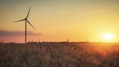 تصویر از تولید بیشتر برق از انرژی های تجدیدپذیر در 30 ایالت آمریکا