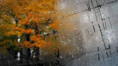 تصویر از گیلان پربارشترین و یزد کمبارشترین استانهای کشور