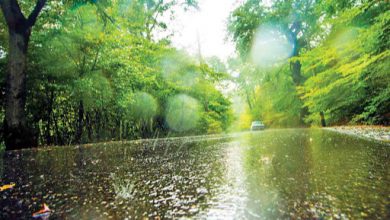 تصویر از میزان بارش در سه ماهه منتهی به دی ناچیز است