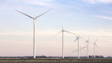 تصویر از افتتاح بزرگترین مزرعه بادی هلندی