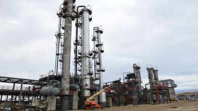 تصویر از میراث فرهنگی ساخت یک پتروشیمی در بوشهر را متوقف کرد