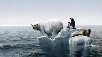 تصویر از خبر بد برای اقلیم: آغاز انتشار ذخایر متان شمالگان از غول خفته