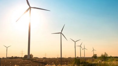 تصویر از راه اندازی مزرعه بادی 100 مگاواتی در قزاقستان