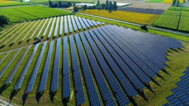 تصویر از اعطای وام استرالیا به تحقیق در مورد صفحه های خورشیدی ارزان و سازگار با محیط زیست