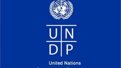 تصویر از فراخوان کمک برنامه عمران ملل متحد برای مقابله با کووید ۱۹