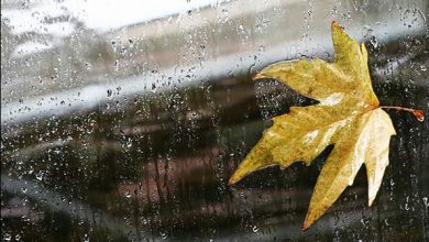 تصویر از ثبت ۵.۳ میلیمتر بارندگی در کشور تا پایان هفته دوم آبان