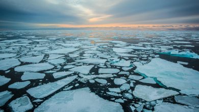 تصویر از گرینلند تا 2100 با سرعتی بیشتر از 12 هزار سال گذشته یخ از دست می دهد