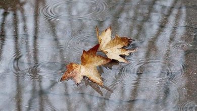 تصویر از افزایش ۱۰ برابری بارشها نسبت به میانگین بلندمدت