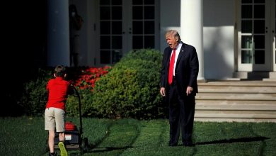 تصویر از ترامپ خطایی در سیر تاریخ نبود، 70 میلیون به او باور داشتند