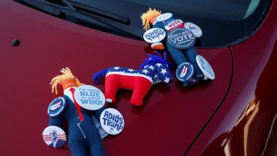 تصویر از چه کسانی به ترامپ و چه کسانی به بایدن رای میدهند؟