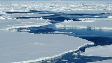 تصویر از اقلیم شناسان: ظاهر قطب جنوب تغییر خواهد کرد