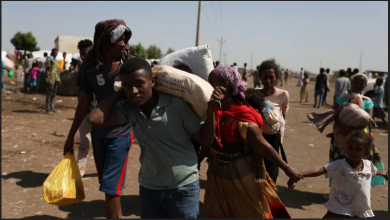 تصویر از هشدار سازمان ملل نسبت به بحران تمام‌عیار انسانی در اتیوپی