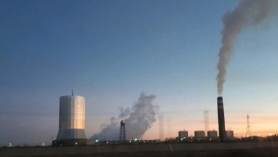 تصویر از بخشنامهای در مورد بلامانع بودن استفاده از مازوت صادر نشده است