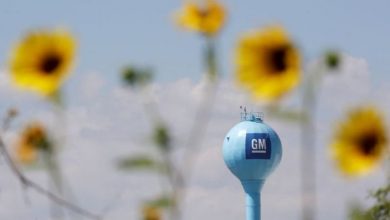 تصویر از افت فروش جنرال موتور در سال 2020 در چین به دلیل کرونا