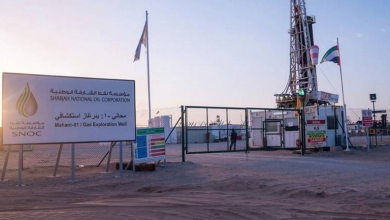 تصویر از بهره برداری از میدان گازی تازه کشف شده امارات توسط انی
