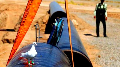 تصویر از ایران در اجرای قراردادهای صادرات گاز به تعهدات خود پایبند است