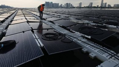 تصویر از ساخت یکی از بزرگترین مزارع خورشیدی روی آب در سنگاپور