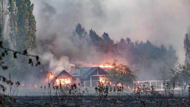 تصویر از آتش سوزی جنگل در آرژانتین