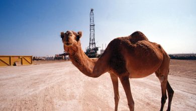 تصویر از تمدید کاهش داوطلبانه تولید نفت عربستان