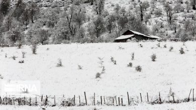 تصویر از کاهش قابل توجه بودجه برفی حوضه آبریز سدهای تهران