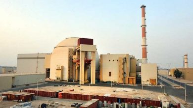 تصویر از زلزله به نیروگاه اتمی بوشهر آسیبی نرساند