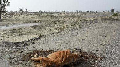 تصویر از خشکسالی‌ بی‌سابقه در مناطقی از کشور