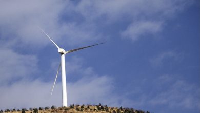 تصویر از ۲۰ توربین تا پایان سال در منطقه میل نادر نیمروز وارد مدار خواهد شد