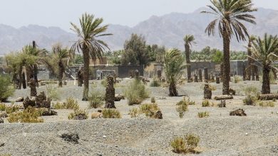 تصویر از صدای پای خشکسالی با کاهش ۵۳ درصدی بارشها