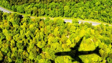 تصویر از سرمایه‌گذاری ۳ میلیون پوندی دولت‌ها برای ساخت جت کربن صفر