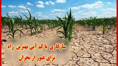 تصویر از سازگاری با کم آبی بهترین راه برای عبور از بحران کم آبی