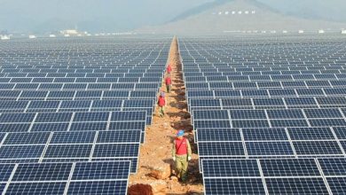 تصویر از فیلم: توسعه انرژی خورشیدی در چین