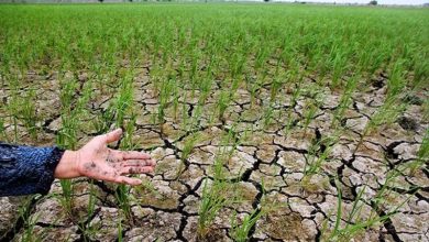 تصویر از دوره دست و دلبازی در مصرف آب در مازندران گذشت