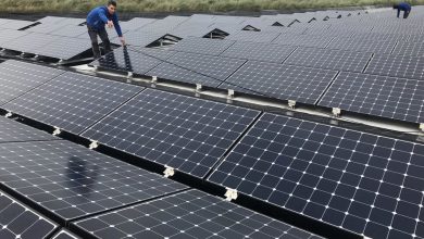 تصویر از تولید 6 درصد برق یک شهر در بزرگترین مزرعه خورشیدی شناور اروپا