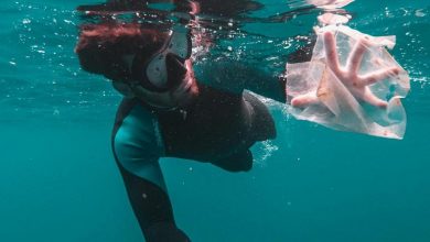 تصویر از ده کشوری که بیشترین ضایعات پلاستیکی را به اقیانوس می‌ریزند