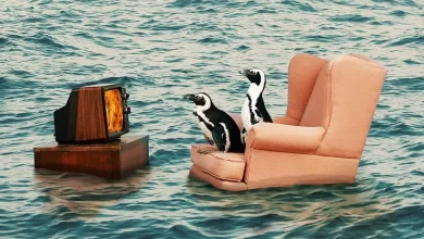 تصویر از هیچ کجا امن نیست