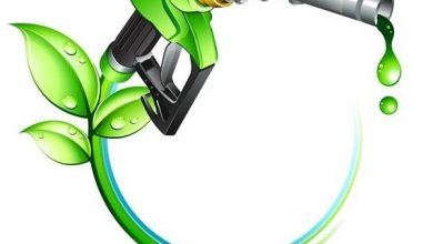 تصویر از ۲ پروژه ملی برای توسعه تولید سوخت زیستی در کشور