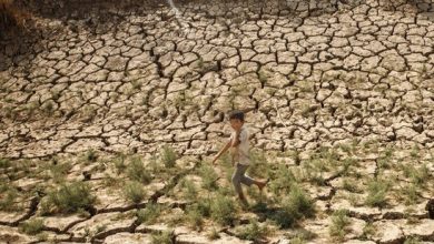 تصویر از میزان صحت پیش‌بینی خشکسالی و ترسالی