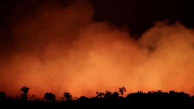 تصویر از آتش سوزی در 400 هکتار جنگل اسپانیا با ته سیگار