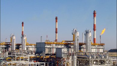 تصویر از دریافت خوراک بیلدبلند 33 درصد افزایش یافت