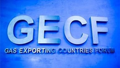 تصویر از برگزاری سیزدهمین شورای فنی و اقتصادی جی ئی سی اف