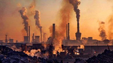تصویر از راه اندازی بزرگترین تجارت کربن دنیا در چین در میان تردیدهای تحلیگران