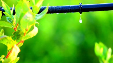 تصویر از خشکسالی: تغییر پارادایم در سیاستگذاری