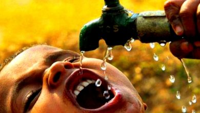 تصویر از همهمتهمان پرونده کم آبی