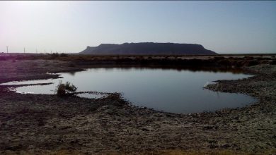 تصویر از احیاءتالاب بینالمللی هامون نهفته درپشت وعده های طالبان و سدکمال خان