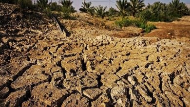 تصویر از آبهای ژرف و آب شرینکن دو راهکار کوتاه مدت برای خشکسالی ایران