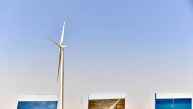 تصویر از آغاز تولید برق نخستین نیروگاه بادی عربستان