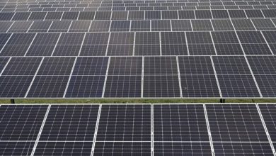 تصویر از رکورد تولید نیروی خورشیدی در اروپا