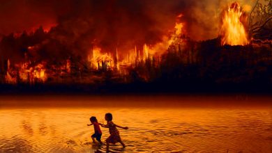 تصویر از افزایش میزان مرگ و میر کرونا با آتش سوزی جنگل ها