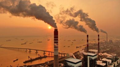 تصویر از پروژه تجارت کربن چین راه اندازی شد